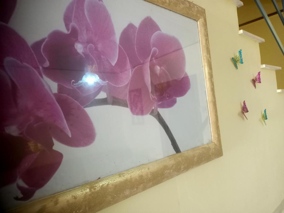 הוילה וטראלה Casa Sole מראה חיצוני תמונה